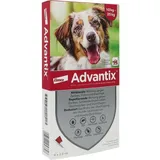 Elanco Advantix Spot-on Hund 10-25 kg
