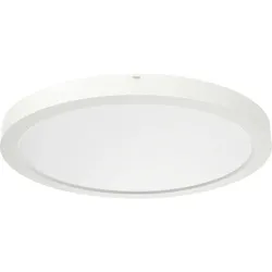 Ridi-Leuchten LED-Sanierungs-Downlight SARA290 DAW #0332095