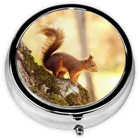 Lustige runde Pillendose mit Eichhörnchen-Motiv, niedlich, Mini-Reise-Medikamenten-Organizer, Box für Geldbörse, 5,1 x 5,1 x 1,8 cm