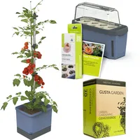 Gusta Garden Tomaten-Starter-Set 5-teilig blau