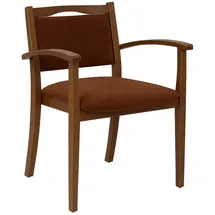 einrichtungsdesign24 Seniorenstuhl Alexander Polyester braun