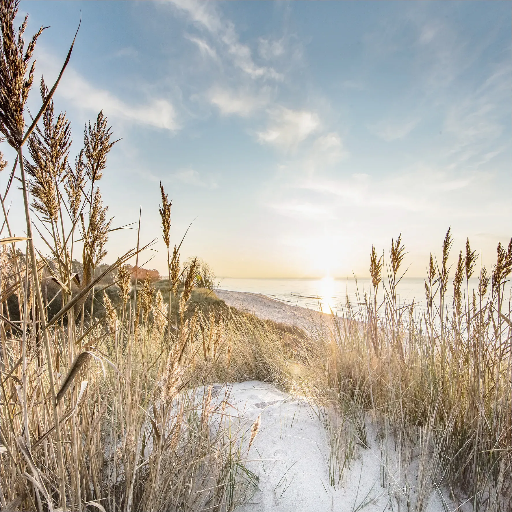 Glasbild WILDER STRAND III - bunt