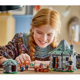LEGO Harry Potter Hagrids Hütte: Ein unerwarteter Besuch 76428