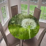 Morbuy Rund Tischdecke Elastisch, Löwenzahn Rund Tischdecken Wasserdicht Lotuseffekt Abwaschbar Abwischbar Tischtuch für Dekoration Küchentisch Garten Outdoor (Durchmesser 100cm,Wald)
