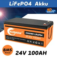 24V 100AH Lithium Batterie LiFePO4 100A BMS für Wohnmobil Solaranlage Boot RV