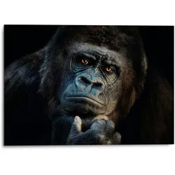 Alu-Dibond-Druck PLATINUM "Gorilla", schwarz (farbe bild(er): schwarz), B:70cm H:50cm T:2cm, Aluminium, Bilder, Joachim G. Pinkawa