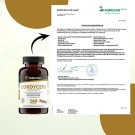 shroomy Cordyceps Extrakt Kapseln 240 St.