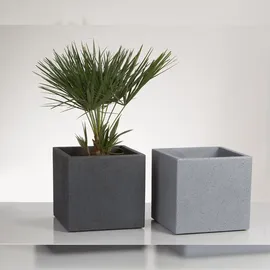 Scheurich C-Cub 240 38 x 38 x 33 cm stony grey