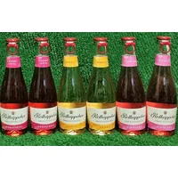 (13€/L) 12x Rotkäppchen Fruchtsecco Mix 0,2l Probiersortiment Piccolo Versand0€