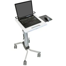 Ergotron Neo-Flex grau