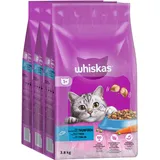 Whiskas Adult 1+ Katzenfutter mit Thunfisch 3 x 3,8 kg