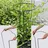 Siena Garden Pflanzenstütze vollrund 55 cm verstellbar