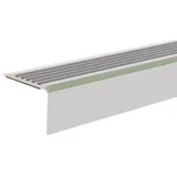 Döllken Treppenkante TKNGA45 28 mm x 45 mm x 1.250 mm Grau/Hellgrau