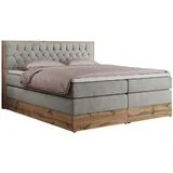MKS Boxspringbett 160 x 200 cm H3 Hellgrau