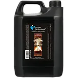 GROOM PROFESSIONAL Paw Bells Hundeshampoo - Hundeshampoo Gegen Geruch - Tiefenreinigendes Shampoo - Reinigt & Beseitigt Gerüche - Macht das Fell Weich & Kämmbar - Festlicher Duft, 4 Liter