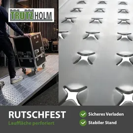 Trutzholm Auffahrrampe Alu extralang 400 cm 400 kg
