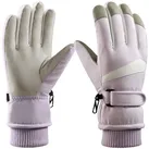 BTTO Skihandschuhe Fahrrad Handschuhe Skihandschuhe für Männer und Frauen im Winter Winterhandschuhe Ski Wasserdicht lila