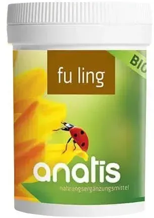 Fu ling Vitalpilz BIO 49,5 g