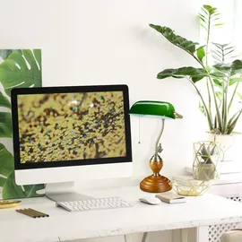 Relaxdays Bankerlampe Grün