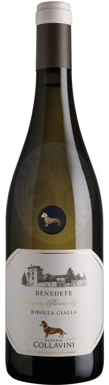 Ribolla Gialla Benedete 2025 Collavini 0,75l