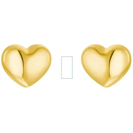 Amor Ohrstecker gold 585/14 ct in Gold | Gr.: onesize