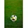 powershot Fußball Schwarz/Gelb 5