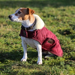 Kentucky Dogwear Hundedecke Dog coat 160g - Bordeaux, XL