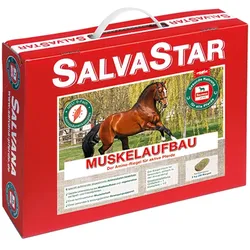 Salvana SalvaStar Muskelaufbau 5kg - Ergänzungsfutter-Riegel für Pferde