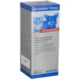 Alfavet ReConvales Energy 180 ml