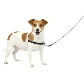 PetSafe Easy Walk S,