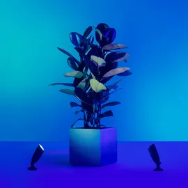 WIZ Outdoor LED-Außenstandleuchte Spot Tunable White & Color 2er Pack