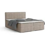 dein schlaf 24 BOXBETT LON IV 160/200 in Cord Anthrazit H4