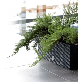 Prosperplast Rato Case 51,4 x 19 x 18,65 cm Anthrazit