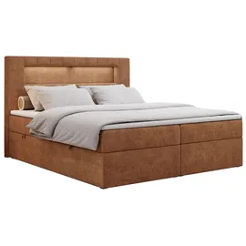 MKS Meble Boxspringbett 200 x 200 cm H3 Orange