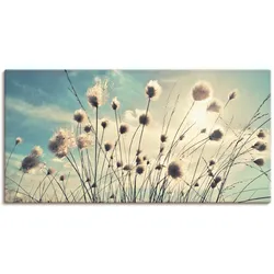 Wandbild ARTLAND "Wollgras", blau (farbe bild(er): blau), B:40cm H:20cm, Bilder, als Alubild, Outdoorbild, Leinwandbild, Poster, Wandaufkleber