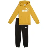 Puma Trainingsanzug »ESS NO.1 LOGO SWEAT SUIT TR PS«, 2 Stk. PUMA Archive Gold