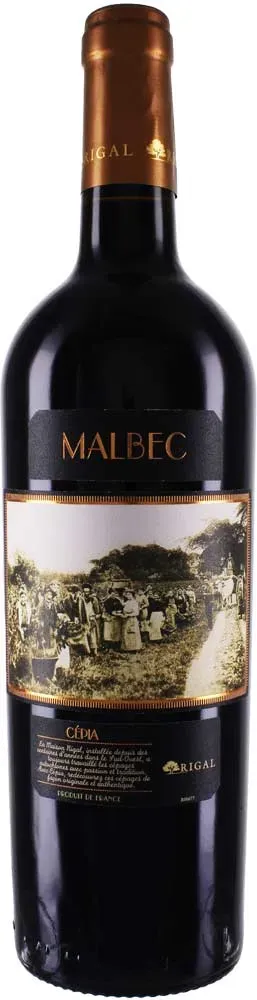 Maison Rigal Malbec Comté Tolosan L ́instant Truffier 2022 - Rotwein / trocken - Frankreich / Cahors - Malbec / Maison Rigal