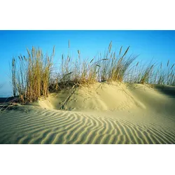 Fototapete PAPERMOON "DÜNEN-STRAND MEER SEE OZEAN SAND GRAS NORDSEE OSTSEE", bunt, B:3,00m L:2,23m, Vlies, Tapeten