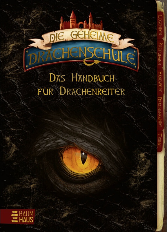Die Geheime Drachenschule - Das Handbuch Für Drachenreiter - Emily Skye, Gebunden