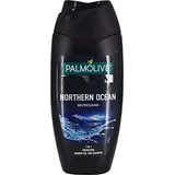 Palmolive Men Pur Arctic Refreshing, 300ml