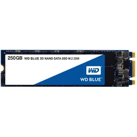 Western Digital WD Blue 300 GB M.2