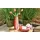 Asa Selection Vase strawberry smoothie cm