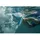 Sailfish Schwimmflossen - Blue - EU 43-45