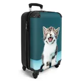 Noboringsuitcases.Com NoBoringSuitcases.com®