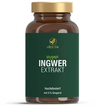 Vitactiv Ingwer Extrakt Kapseln 90 St.