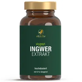 Vitactiv Ingwer Extrakt Kapseln 90 St.