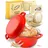 krustenzauber Gusseisen Topf Brot Backen [inkl. Gärkorb] - Hochwertiger Emaille Topf 26cm - Idealer gusseiserner Brottopf zum Backen, Gusseisentopf Brotbacken, Brot Backen Zubehör...