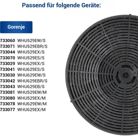 Gorenje Aktivkohlefilter