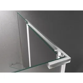 Buylando Clara Eckdusche mit Drehtür 90 x 195 cm silber satiniert