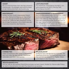 The Meat Makers The MeatStick-Set, Fleischthermometer mit Xtender-Ladegerät, Farbe: schwarz